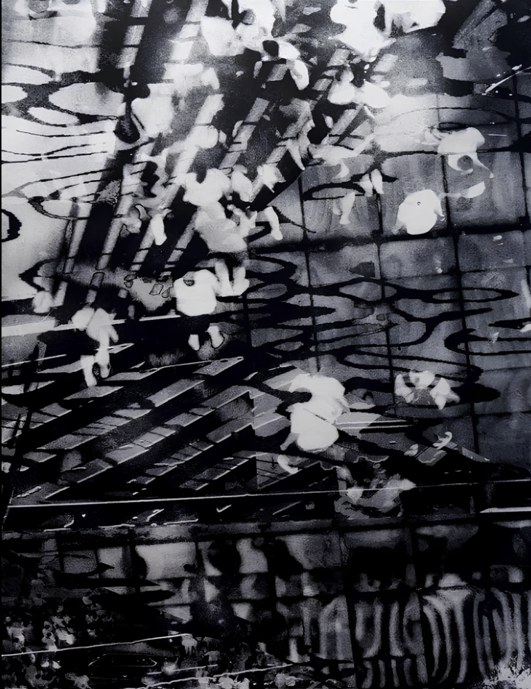 Pace — Etching, 62 × 75 cm, by Bianca Cork